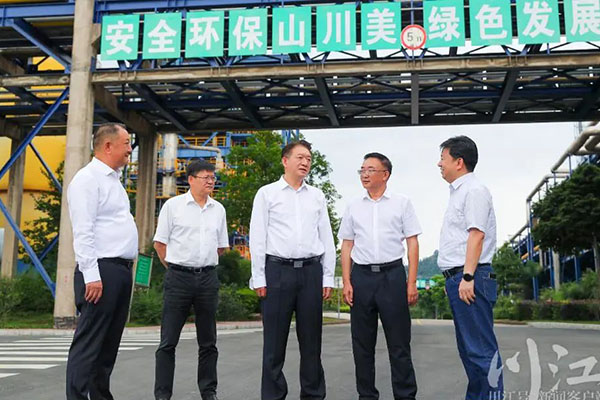 杨林兴：把新型工业化摆在更加突出的位置，让“四化同步”发展的主引擎作用更加凸显